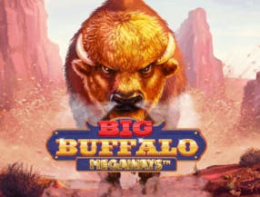 game logo by Skywind Group on spinjonz.com