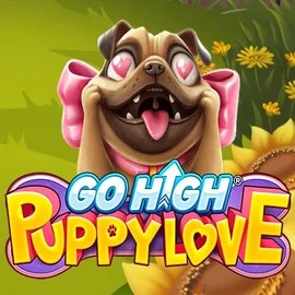 game logo by RubyPlay on spinjonz.com